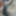 BiggdickSunil
