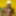 DADDYBLACKXXX