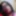 CD_Anita
