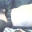 Fuck Man