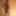 Martin_01974