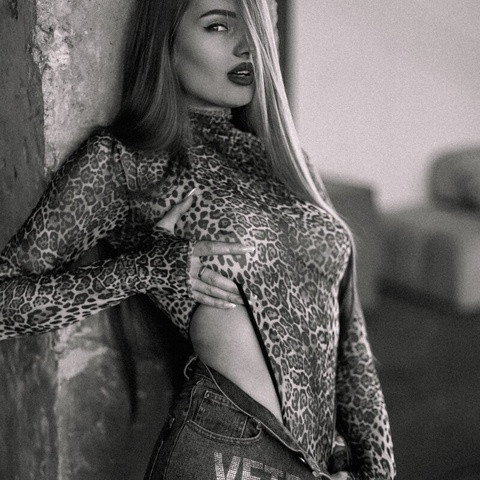 Viola_sweet