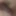 treky