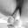 Cameloen908