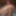 Hamster_2023