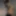 Ethan Tate
