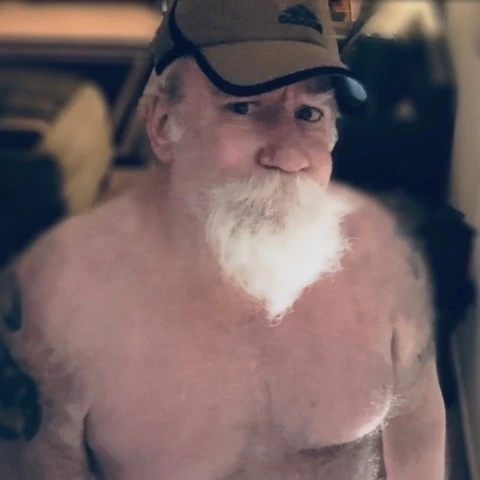 Stachebear