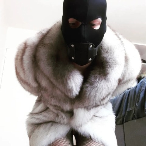 Antwerp Sissy