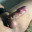 Dandy_9110
