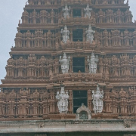 Dhanesh dhanu
