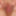 Kinkycouple4176