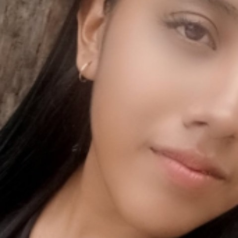 Soniarosee