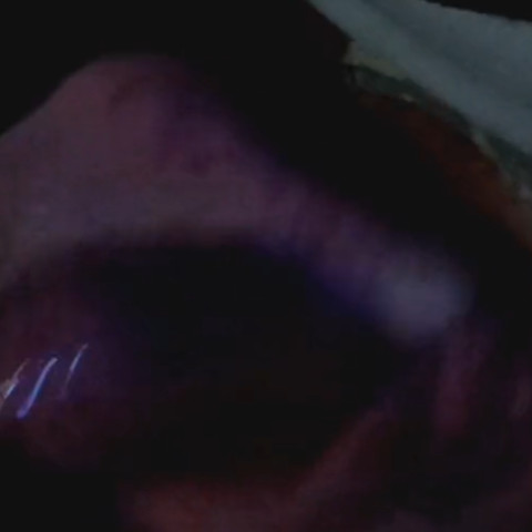 Alan allsex