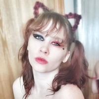 Kayci Kitten