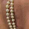 Ambre Luxe