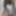 Slbdsm89