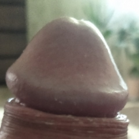 Detoha