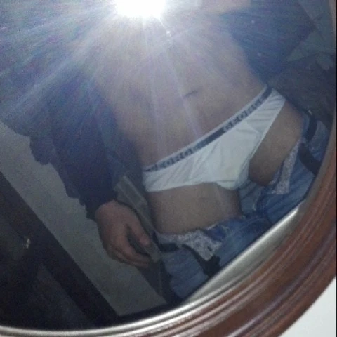 Italianbull