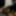 Forbidden Focus Films