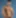 Tristan Jaxx