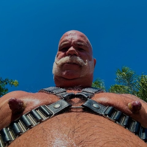 CycleMuscleBear