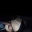 Yazminbi69hot