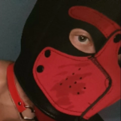 Pup_Buddy