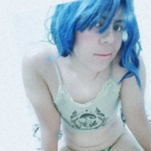 Elpalomo_mx99