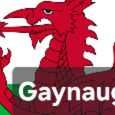 gaynaughtywelsh