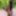 BadMash_Bhabhi