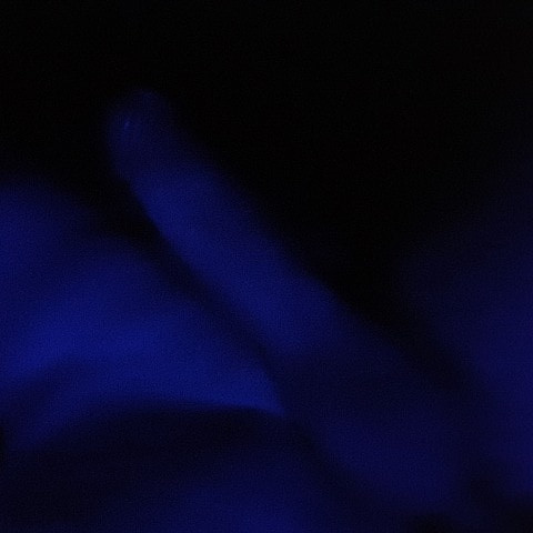 MonsterCcockBDSM