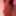 Nancy_Spounge_