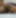 Telugu-sex-videos