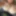 Kat Snax