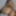 The_brunette69 