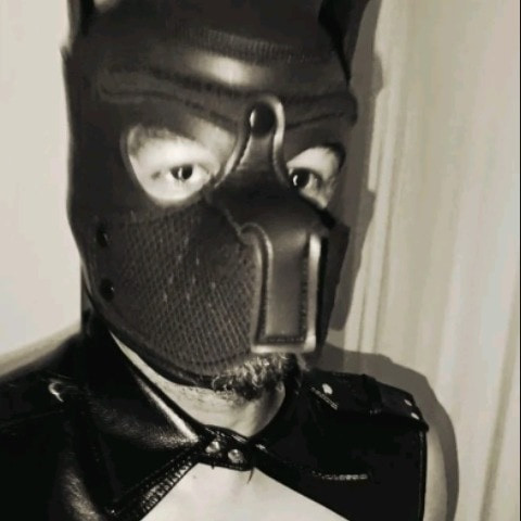 Black Bator 