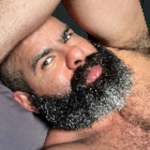 Oscar Bear