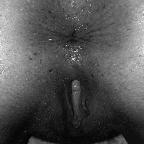 HugosIlse69