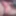 Indian_Bottom