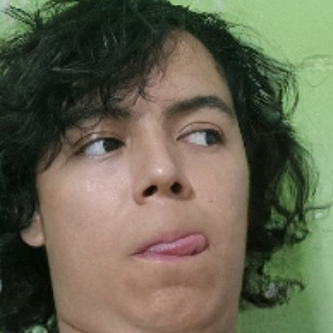 Elpalomo_mx99
