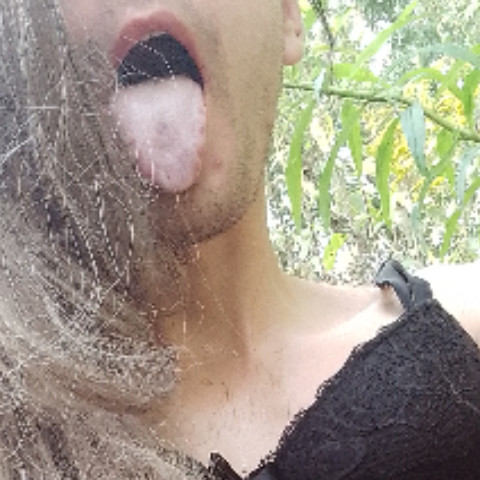Anuta trans