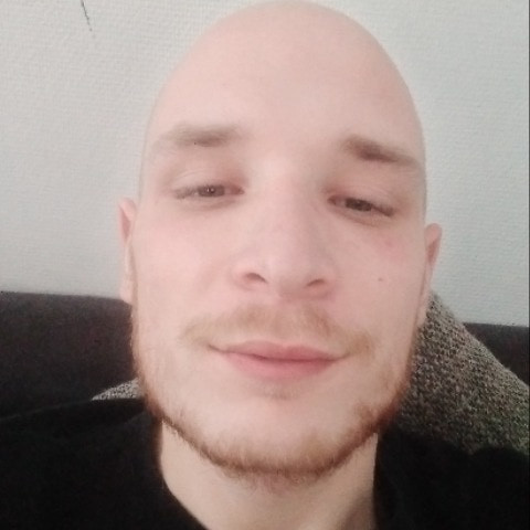 MaikDressel 