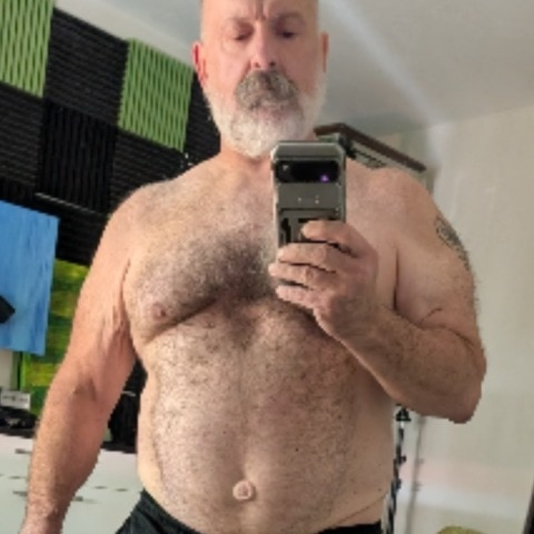 Mister bear
