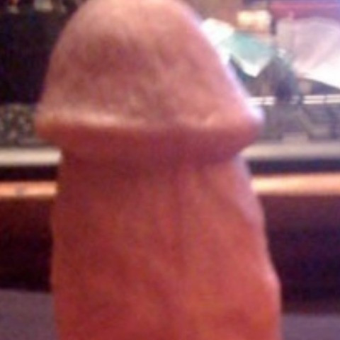 Slutfucker