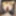 Hornycouple