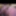 Sexxie cumdump294