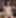 Bobbi Starr