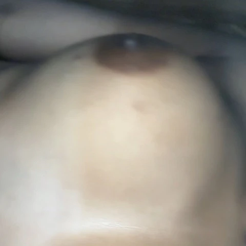 xbuddy