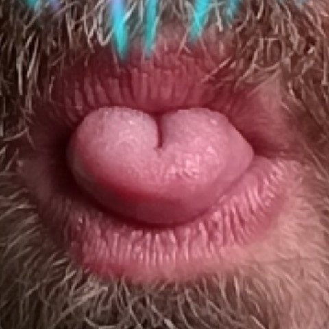 super_falkon