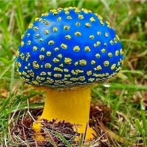 XUNTIAN
